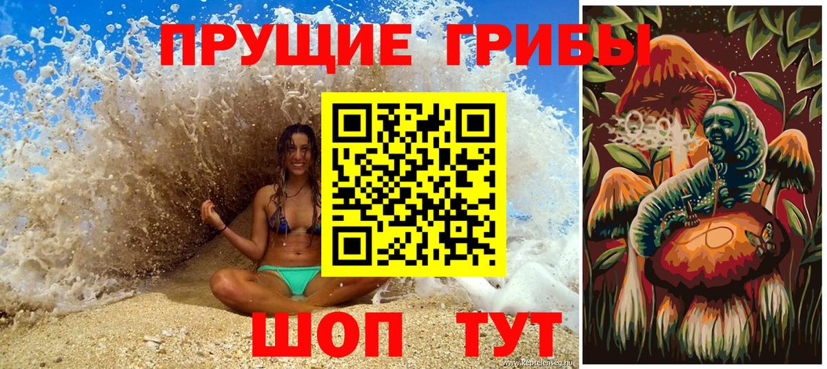 где купить наркоту  Кисловодск  Галлюциногенные грибы Cubensis 