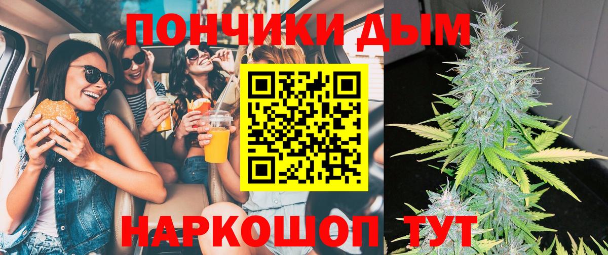 Бошки Шишки Ganja  Кисловодск  Шишки марихуана SATIVA & INDICA 